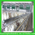 China made durable chicken coop wire mesh for hen house